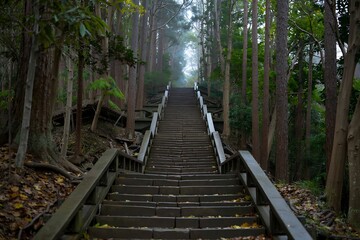 Long Stone Staircase Leading Up Through a Misty, Atmospheric Forest