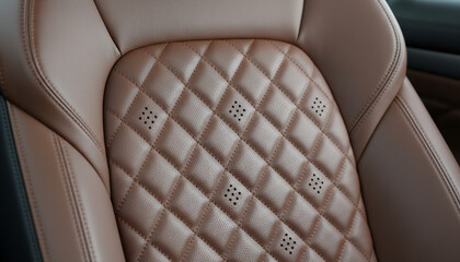 detail of a luxury car door