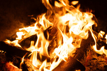 Close-up of Logs Burning with Intense Yellow and Orange Flames.