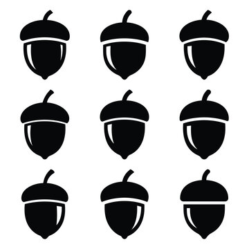 acorn silhouette simple icon set