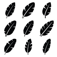 banana leaf silhouette icon set