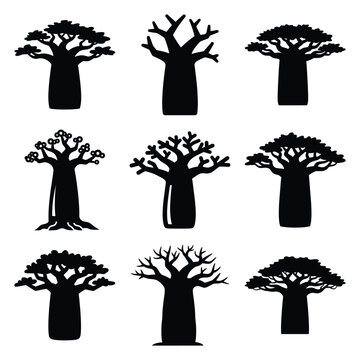 baobab tree silhouette icon set