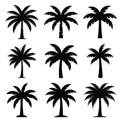 palm tree silhouette icon set