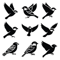 sparrow silhouette simple icon set
