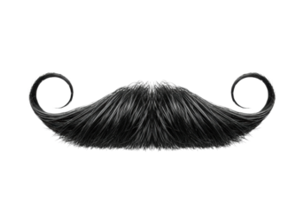 Highly detailed macro close-up of a classic, black, waxed handlebar mustache, perfectly groomed and centered on a brilliant white studio background. Concept of precise male style and elegance