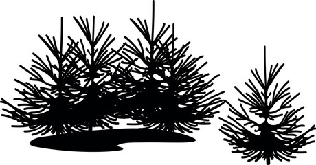Black silhouette of a spruce forest isolated on white background