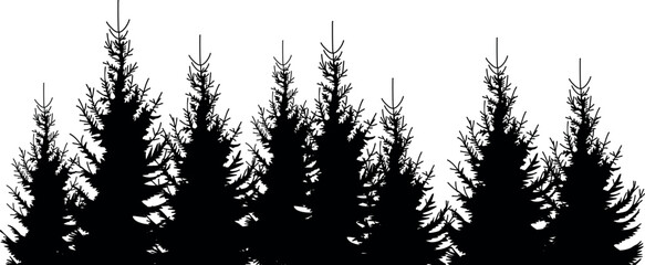 Black silhouette of a spruce forest isolated on white background	