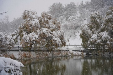 Heavy snowfall over the lake. Soldier Lake in a mountainous area with different vegetation.