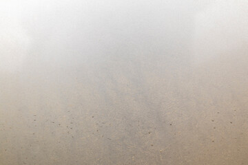 Textured surface with subtle variations in color and pattern observed in a natural setting during daylight