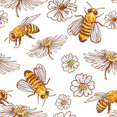 Honey bee  seamless pattern,  hand drawn vector illustration, transparent background