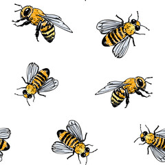 Honey bee  seamless pattern,  hand drawn vector illustration, transparent background