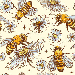 Honey bee  seamless pattern,  hand drawn vector illustration, transparent background
