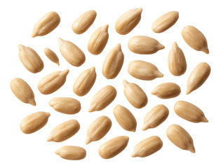 Obraz premium Pale, nutty interior of sunflower seed kernels.