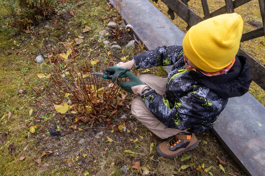 Boy in autumn garden cleaning with pruning shears