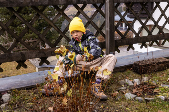 Boy tidying up the garden during autumn season