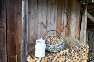Objects of ancient village life near a wooden wall.