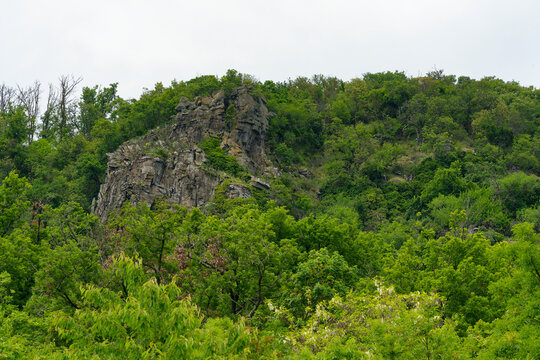  Landschaft am Berg Badacsony, einen Tafelberg, vulkanischen Ursprungs, im Nationalpark Balaton-Oberland, zwischen den Orten Badacsonytomaj und Badacsony, Balaton, Ungarn