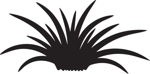 Coarse Crabgrass Tuft Wide Spreading Leaves Silhouettes isolated on white background © Abdul Hamid