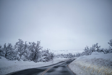 Fototapeta premium snow covered trees in winter along a winding road