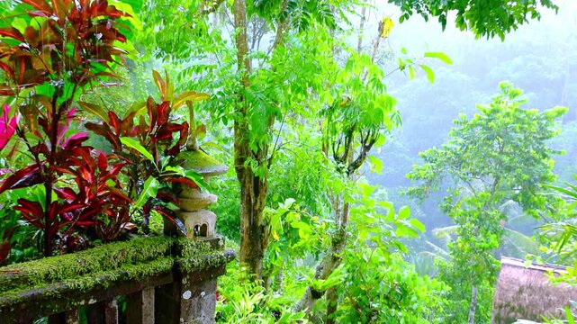 Wet season in tropics. Amazing plants and flowers in fantasy garden with stone lantern. decoration. Zooming video with rain original audio