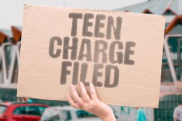 "Teen Charge Filed" Case enters system. TEEN. CHARGE. FILED. COURT. CASE.