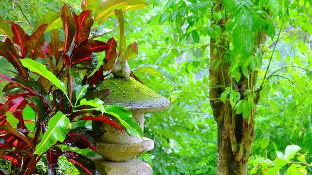 Wet season in tropics. Amazing plants and flowers in fantasy garden with stone lantern. decoration. Zooming video with rain original audio