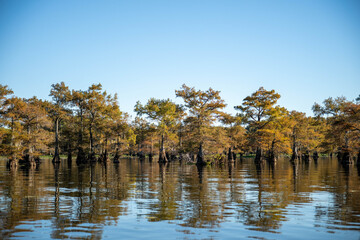 autumn trees reflected in water