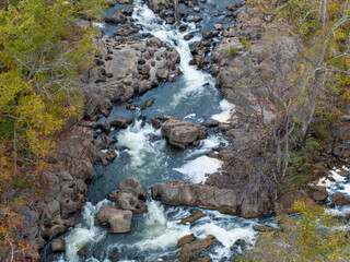 stream in the forest