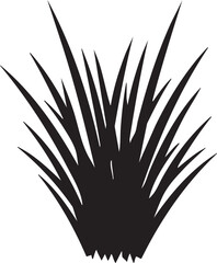 Sharp Edged Sedge Grass Cluster Stiff Pointed Blades Silhouettes isolated on white background