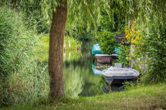 K&auml;hne auf einem Fluss in sch&ouml;ner Natur im Spreewald