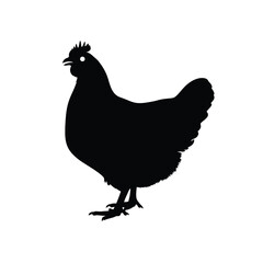 Black silhouette of a chicken standing on white background