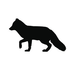 Black silhouette of a walking fox on a white background