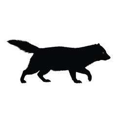 Black silhouette of a walking fox on a white background