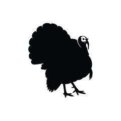 Black silhouette of a turkey bird