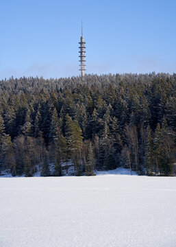  Winter Solitude: Mobile Communication Tower Amidst Majestic Pine Forests in Norwegian Woods