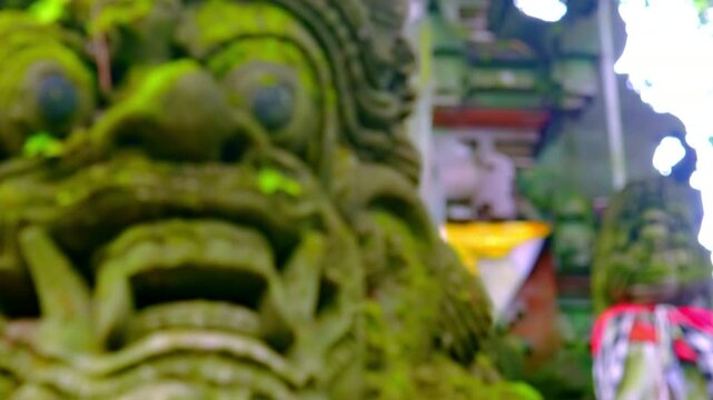 Close-up of Barong Lion Guard's statue covered with moss. Detailed picture of Balinese folklore character carved from stone. Camera switches from foreground to another sculptural figure on background.