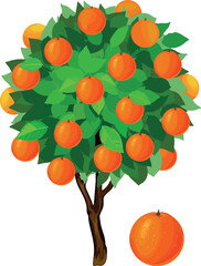 Orange tree with green crown, fruits and ripe orange isolated on white background.
