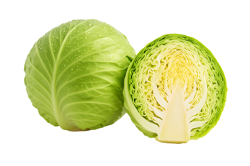 Organic green cabbage vegetable showing internal leaf layers and texture