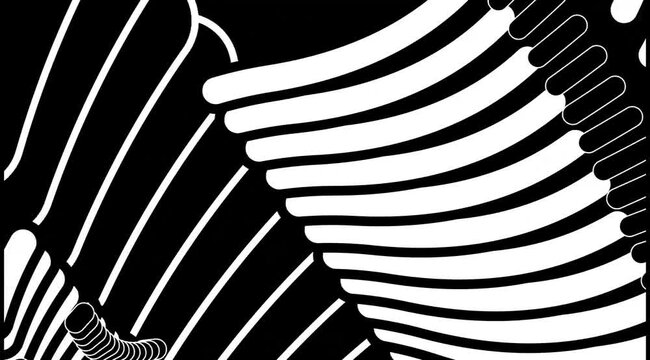 zebra skin texture