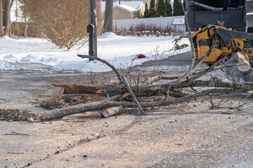 fallen tree branches on the road after snow storm