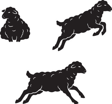 Three black silhouette sheep in various poses including sitting jumping and running on a white background representing farm animals and movement also transparent background