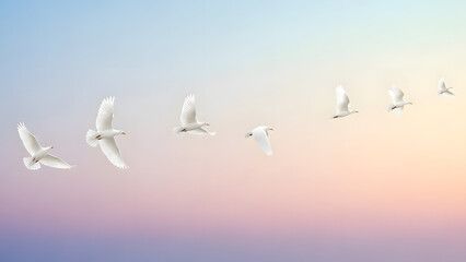 Obraz premium White Doves Flying in Pastel Sky – Peace, Freedom & Hope Background Image