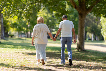 Obraz premium Senior couple walking hand in hand in park