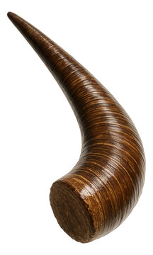 Fossilized aurochs horn core with visible growth rings and a polished finish.