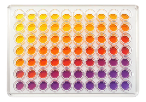 Colorimetric assay plate detecting recombinant protein presence.