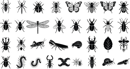 Insect silhouettes for design and educational use