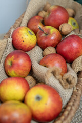 Walnuts among apples in a bowl.
