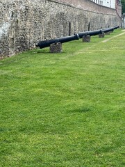 A row of cannons