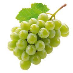 Fototapeta premium Fresh Green Grapes on a Vine With Leaves During Daytime in a Bright Setting