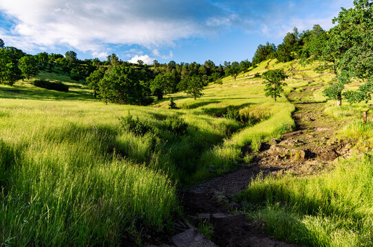 Hiking trail in Chico, Ca